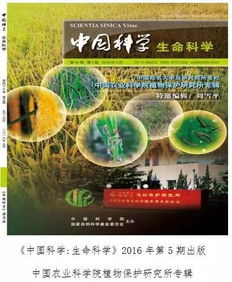 从百废待兴到国际一流,中国农科院植保所谱写辉煌40年